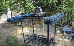 水处理曝气风机有什么作用